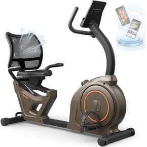 Niceday Indoor Recumbent Exercise Bike Workout Equipment for Home Gym 400LBS Weight Capacity