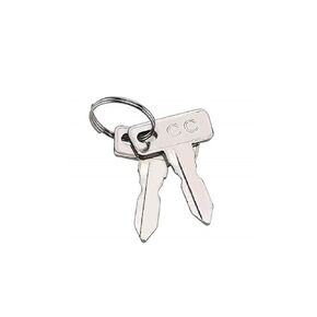 Q-Claw Club Car Replacement Golf Cart Keys (2 Pack)