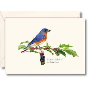 Earth Sky + Water - Bluebird on Pokeweed Notecard Set - 8 Blank Cards with Envelopes