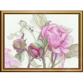 Aine - Peonies. Grace A1008, Cross Stitch Kits 8¼"x11¾, Cross Stitch Kits for Beginners & Advanced, Crossstitching Kits Adult, Counted Cross Stitch Kits for Adults, Flowers Embroidery Kit
