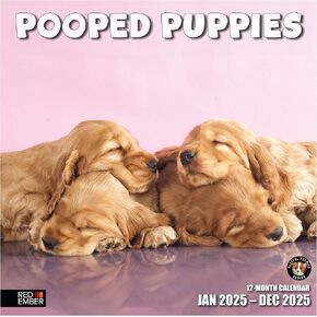 RED EMBER Lab Puppies 2025 Hangable Monthly Wall Calendar | 12" x 24" Open | Thick & Sturdy Paper | Giftable