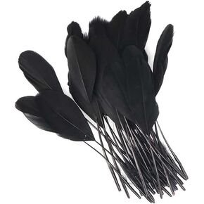 MAHAVIMOKSA 100pcs Natural Feather for DIY Craft Earring Wings Wedding Party Home Decoration (Green Lady Amherst Bronze Iridescent Plumage)