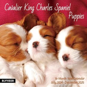 2025 Wall Calendar,Cavalier King Charles Spaniels Wall Calendar, 12" x 24" Open,Family Planner Calendar Organizer with Cute Cavalier King Charles Spaniels Puppies Images, for Dogs Lovers