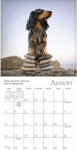 Cat Naps 2025 Mini Calendar, 7" x 7" in Saudi Arabia