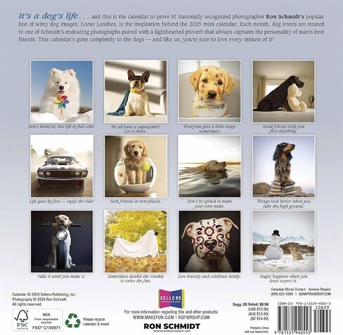 Cat Naps 2025 Mini Calendar, 7" x 7" in Saudi Arabia