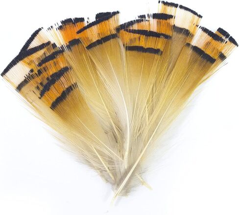 MAHAVIMOKSA 100pcs Natural Feather for DIY Craft Earring Wings Wedding Party Home Decoration (Green Lady Amherst Bronze Iridescent Plumage) in Kuwait