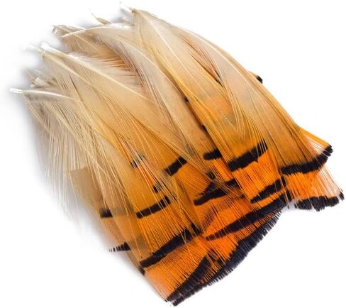 MAHAVIMOKSA 100pcs Natural Feather for DIY Craft Earring Wings Wedding Party Home Decoration (Green Lady Amherst Bronze Iridescent Plumage) in Kuwait