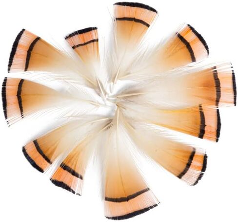 MAHAVIMOKSA 100pcs Natural Feather for DIY Craft Earring Wings Wedding Party Home Decoration (Green Lady Amherst Bronze Iridescent Plumage) in Kuwait