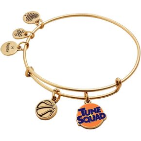 Alex and Ani AS21EBSJ05RG,Space Jam Tune Squad Duo Charm Expandable Bangle Bracelet,Rafaelian Gold,Orange, Bracelets