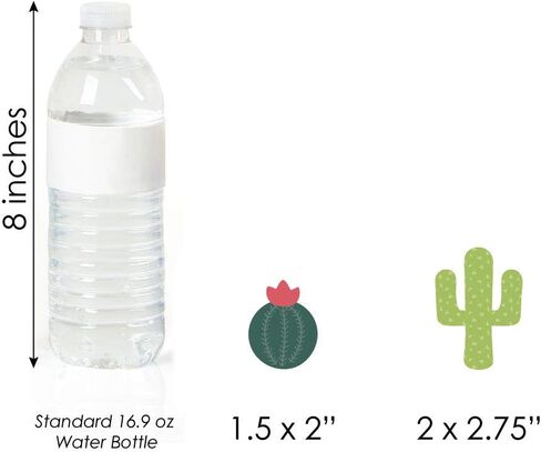 Big Dot of Happiness Prickly Cactus Party - Dessert Cupcake Toppers - Fiesta Party or Fiesta Birthday Party Clear Treat Picks - Set of 24 in Saudi Arabia