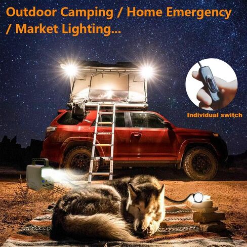 ECO-WORTHY 84Wh Portable Power Station, Solar Generator with 18W Solar Panel, Flashlights, Camp Lamps with Battery, USB DC Outlets, for Outdoor Camping, Home Emergency Power Supply, Hurricane, Fish in Saudi Arabia