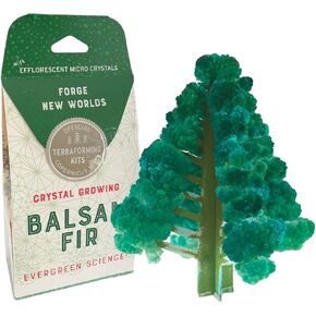 Crystal Growing Balsam Fir | Copernicus Toys Official Terraformer kit | Grows in Hours | Facts and Instructions Included | Evergreen Science!