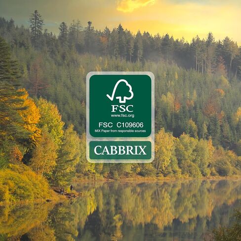 Cabbrix Desk Calendar 2025 with Desktop Mat, Simplified Large Desk Pad Calendar 21" x 16-1/2" Run from Now to Dec 2025, Monthly Table Calendar for Home School and Office (Transparency) in Saudi Arabia