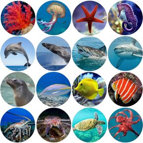 600Pcs Sea Animals Stickers Roll 1.5 Inch 16 Styles Ocean Life Label Stickers for Kids Party Favors Teacher Reward Encouragement Motivational Stickers