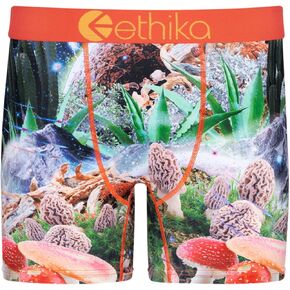 Ethika Mens MID Boxer Brief | Trippy Drippy (ORG, Medium)