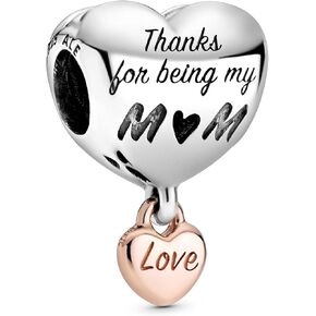 925 Sterling Silver Family Charms Mom Friends Dangle fit Bracelets Necklaces,Movie Hero Charms for Bracelet with 5A Cubic Zirconia Valentine Mother's Day Gift for Women