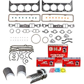 DNJ RRK3102 Engine Re-Ring Kit for 1981-1985 / Chevrolet/Camaro / 5.7L / OHV / V8 / Cu.350 / Vin 6, L