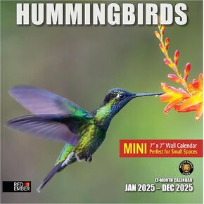 RED EMBER Hummingbirds 2025 Mini Hangable Monthly Wall Calendar | 7" x 14" Open | Thick & Sturdy Paper | Giftable