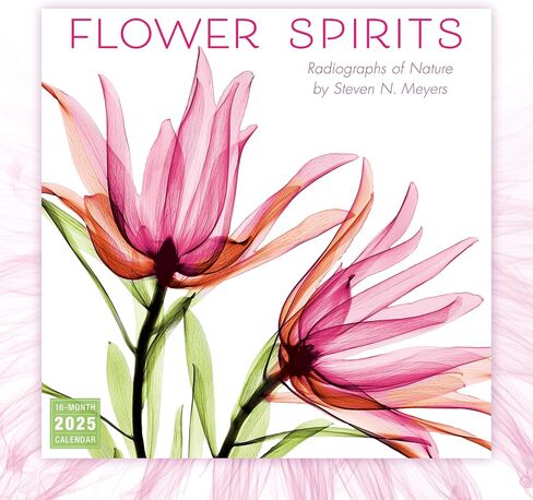 Flower Spirits 2025 Wall Calendar — Radiographs of Nature by Steven N. Meyers, 12" x 12" in Saudi Arabia