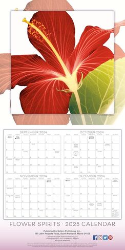 Flower Spirits 2025 Wall Calendar — Radiographs of Nature by Steven N. Meyers, 12" x 12" in Saudi Arabia