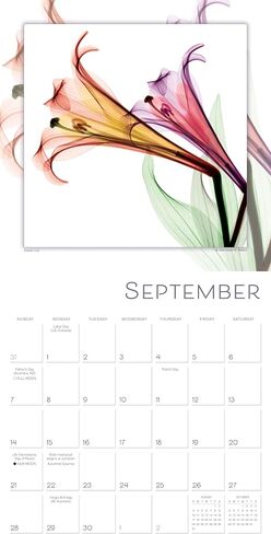 Flower Spirits 2025 Wall Calendar — Radiographs of Nature by Steven N. Meyers, 12" x 12" in Saudi Arabia
