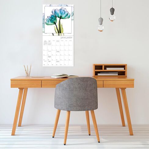 Flower Spirits 2025 Wall Calendar — Radiographs of Nature by Steven N. Meyers, 12" x 12" in Saudi Arabia