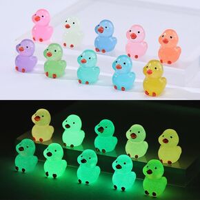 LOKIPA 50PCS Mini Ducks, Luminous Tiny Ducks Miniature Ducks Glow in The Dark Mini Resin Ducks for Garden Micro Landscape Ornament Christmas Birthday Party DIY Decoration Craft (10 Colors) in Kuwait