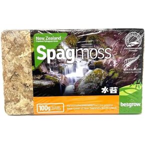 besgrow New Zealand Sphagnum Moss (100 Grams)