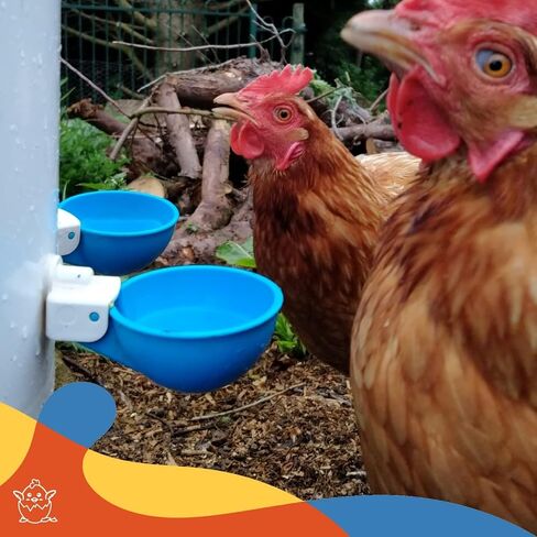 Lil Clucker - Pack of 5 - Blue Large Automatic Chicken Water Cups - Chicken Waterer Cups Suitable for Ducks, Geese, Turkeys, and Bunny Rabbit - Chicken Water Feeder Kit - Poultry Waterer in Saudi Arabia