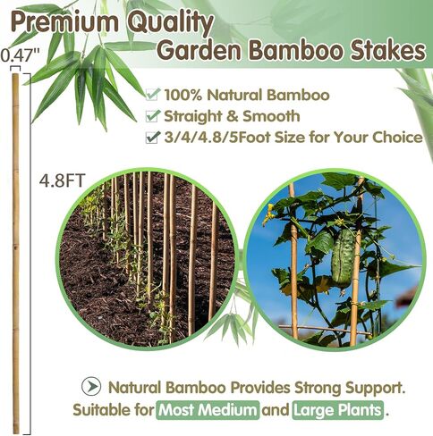 Plant Stakes,12 Inches Natural Garden Bamboo Sticks,BOVITRO 20Pcs Plant Support Stakes for Tomatoes,Beans,Vegetable and Potted Plants in Kuwait