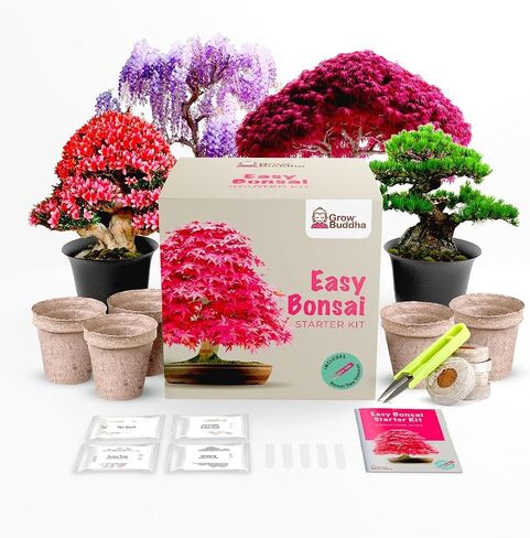 Grow Your Own Bonsai Tree kit | Easily Grow 4 Types of Bonsai Tree with Our Complete Beginner Friendly Bonsai Starter kit | Bonzai Tree | Christmas Gift Set for Plant Lovers (Bonsai Kit) in Saudi Arabia
