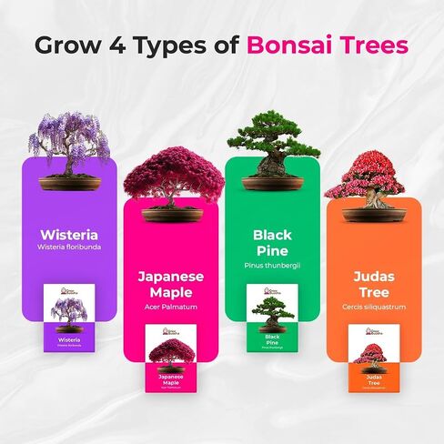 Grow Your Own Bonsai Tree kit | Easily Grow 4 Types of Bonsai Tree with Our Complete Beginner Friendly Bonsai Starter kit | Bonzai Tree | Christmas Gift Set for Plant Lovers (Bonsai Kit) in Saudi Arabia