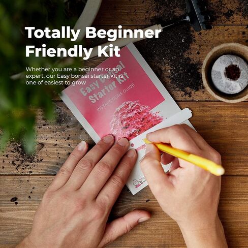 Grow Your Own Bonsai Tree kit | Easily Grow 4 Types of Bonsai Tree with Our Complete Beginner Friendly Bonsai Starter kit | Bonzai Tree | Christmas Gift Set for Plant Lovers (Bonsai Kit) in Saudi Arabia