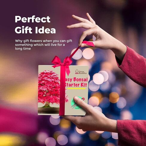 Grow Your Own Bonsai Tree kit | Easily Grow 4 Types of Bonsai Tree with Our Complete Beginner Friendly Bonsai Starter kit | Bonzai Tree | Christmas Gift Set for Plant Lovers (Bonsai Kit) in Saudi Arabia