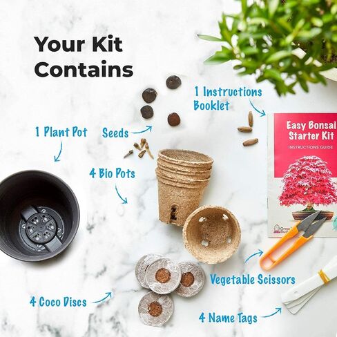 Grow Your Own Bonsai Tree kit | Easily Grow 4 Types of Bonsai Tree with Our Complete Beginner Friendly Bonsai Starter kit | Bonzai Tree | Christmas Gift Set for Plant Lovers (Bonsai Kit) in Saudi Arabia