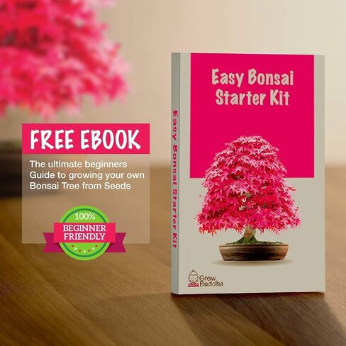 Grow Your Own Bonsai Tree kit | Easily Grow 4 Types of Bonsai Tree with Our Complete Beginner Friendly Bonsai Starter kit | Bonzai Tree | Christmas Gift Set for Plant Lovers (Bonsai Kit) in Saudi Arabia