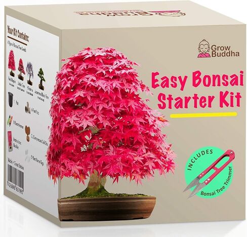 Grow Your Own Bonsai Tree kit | Easily Grow 4 Types of Bonsai Tree with Our Complete Beginner Friendly Bonsai Starter kit | Bonzai Tree | Christmas Gift Set for Plant Lovers (Bonsai Kit) in Saudi Arabia