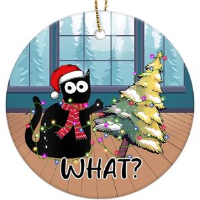 Cat What Ornament for Cat Lovers, Funny Ornament for Christmas Tree, Office, Car, Home Decorations, 2-Side Printed Ceramic Ornament 2024, Gifts for Christmas
