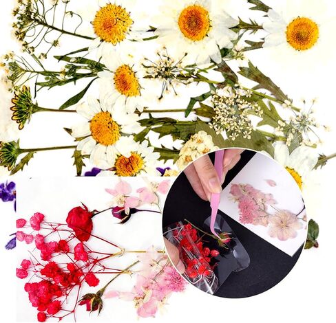 مجموعة علامات مرجعية للزهور المجففة الشفافة مكونة من 88 قطعة من choyaxo يمكنك صنعها بنفسك لقراءة الطلاب والمدرسين in Kuwait