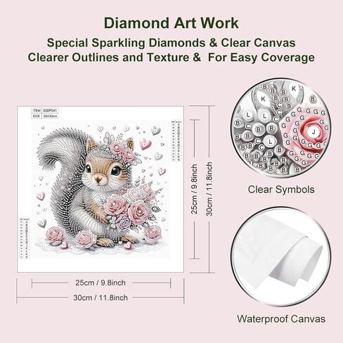 hill froeistung Special Shape Squirrel Diamond Art Painting Kits for Adults,Flower Diamond Art Kits for Beginners,Love Diamond Art Kits for Home Decor12×12inch Animals in Saudi Arabia