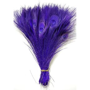 25 Pcs Peacock Feathers 10"-12" Bleached for Halloween Costume Centerpieces Home Decor (Black)