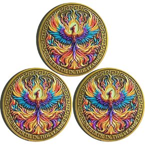 Phoenix Rebirth in The Flame Sobriety Chip Inspiring Serenity and Courage Recovery Coin AA Medallion Capsule Included (Single Coin)