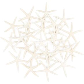 24 PCS Starfish, 2.5" to 4" Small Starfish Natural Seashells Starfish White Starfish Ornaments Perfect for Wedding Beach Theme Party Home Decorations, DIY Crafts, Fish Tank