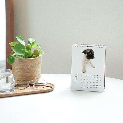 [ArtlistCollectionTHE DOG] 2025 Desk Calendar West Highland White Terrier - 5.1" x 7.1" in Saudi Arabia