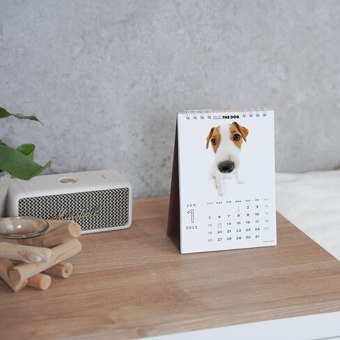 [ArtlistCollectionTHE DOG] 2025 Desk Calendar West Highland White Terrier - 5.1" x 7.1" in Saudi Arabia