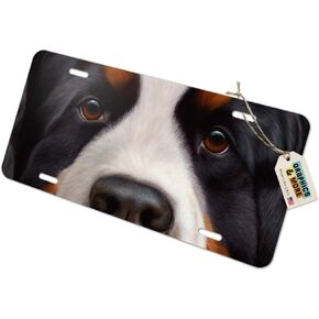 GRAPHICS & MORE Bernese Mountain Dog Face Closeup Novelty Metal Vanity Tag License Plate