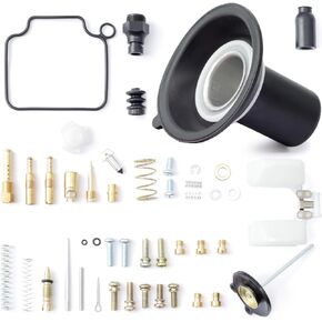 Carburetor Repair Kit Compatible with Honda Rebel 250/CMX 250/CA250 1985-2016 Version Motorcycle, Single Carburetor Version with Plunger Assembly