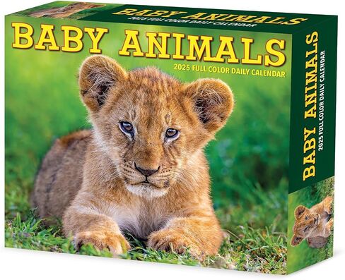 Willow Creek Press Baby Animals Daily 2025 Box/Desk Calendar (5.86" x 4.72") in Saudi Arabia