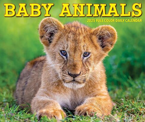 Willow Creek Press Baby Animals Daily 2025 Box/Desk Calendar (5.86" x 4.72") in Saudi Arabia
