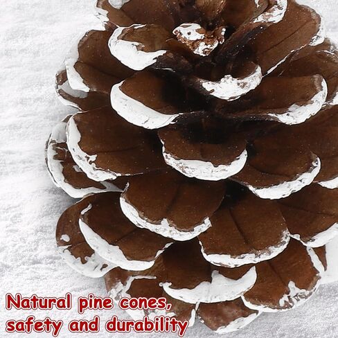 24 PCS Natural Pine Cones, 1.96 IN Pinecone Ornaments, Pine Cones for Crafts with Sliver String, Decorative Diy Pine Cones for Christmas Tree Christmas Table Decorations, Winter Decor Vase Filler in Kuwait